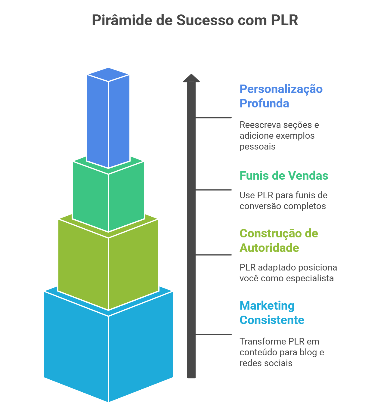 Estratégias de Sucesso com Produtos PLR